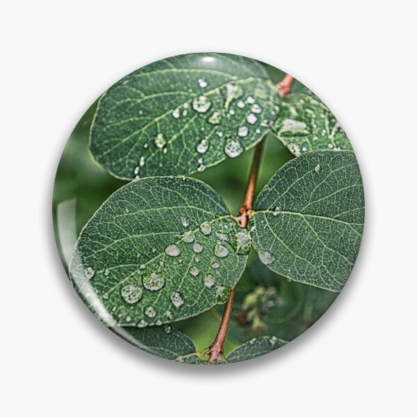 Item preview, Beautiful green leves under rain designed and sold by AsahiNoAme.