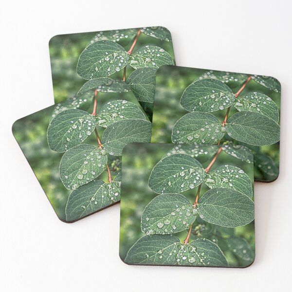 Item preview, Beautiful green leves under rain designed and sold by AsahiNoAme.