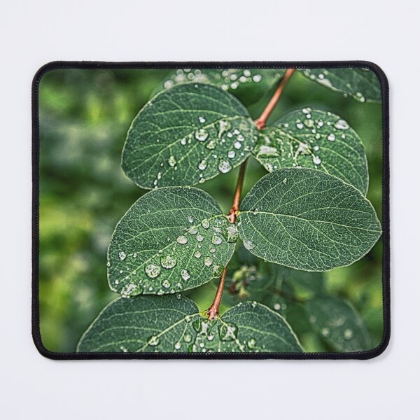 Item preview, Beautiful green leves under rain designed and sold by AsahiNoAme.