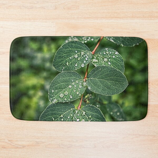 Item preview, Beautiful green leves under rain designed and sold by AsahiNoAme.