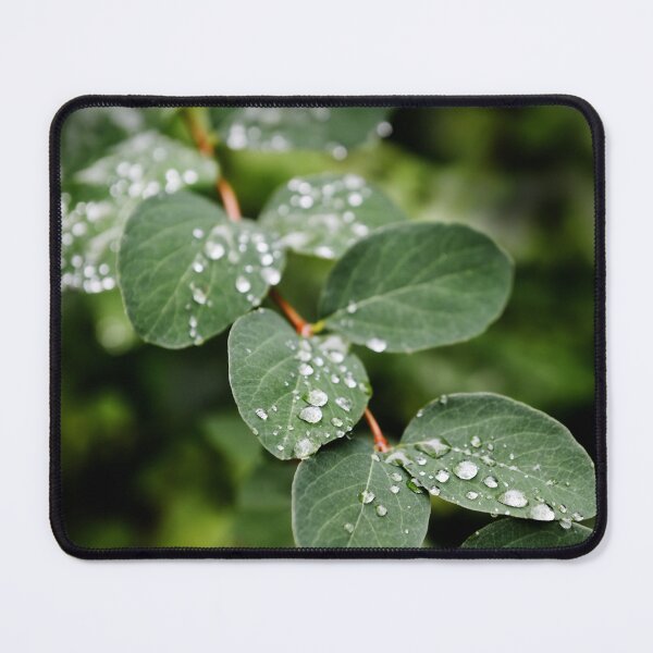 Item preview, Green leaves with water drops designed and sold by AsahiNoAme.