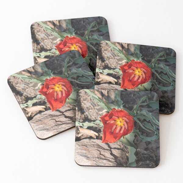 Item preview, Exotic Vermilion Red Tulip in Natural Setting designed and sold by Georgia Mizuleva.