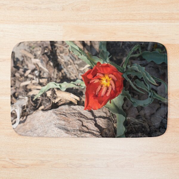 Item preview, Exotic Vermilion Red Tulip in Natural Setting designed and sold by Georgia Mizuleva.