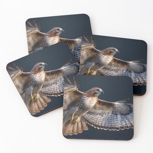 Item preview, Majestic Hawk in Flight with Stunning Feather Detail designed and sold by Artessie.