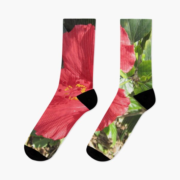 Item preview, Hibiscus designed and sold by Alexander Krishchyunas.