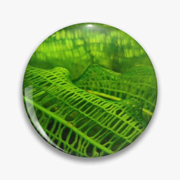 Item preview, Green Madagascar lace plant leaf designed and sold by Kainicram.