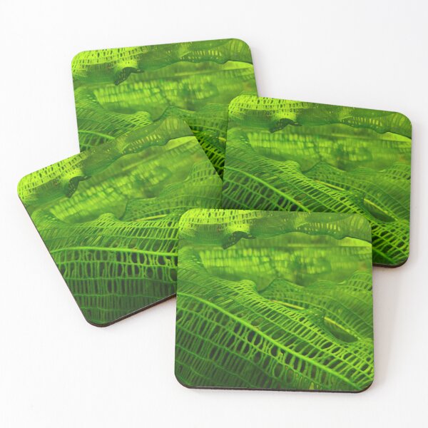 Item preview, Green Madagascar lace plant leaf designed and sold by Kainicram.