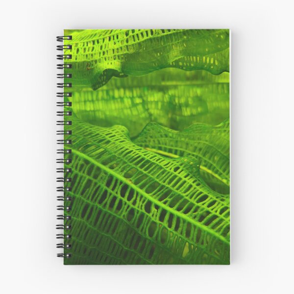 Item preview, Green Madagascar lace plant leaf designed and sold by Kainicram.