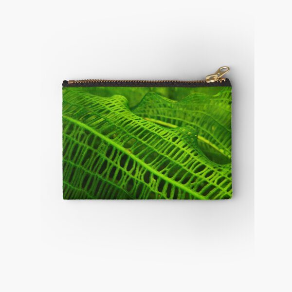 Item preview, Green Madagascar lace plant leaf designed and sold by Kainicram.