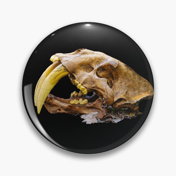 Item preview, Saber tooth Tiger skull profile designed and sold by Dalyndigital Photography.