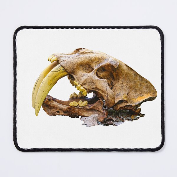 Item preview, Saber tooth Tiger skull profile designed and sold by Dalyndigital Photography.