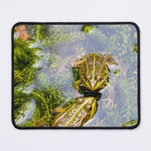 Item preview, Two loving frogs designed and sold by Photopat.
