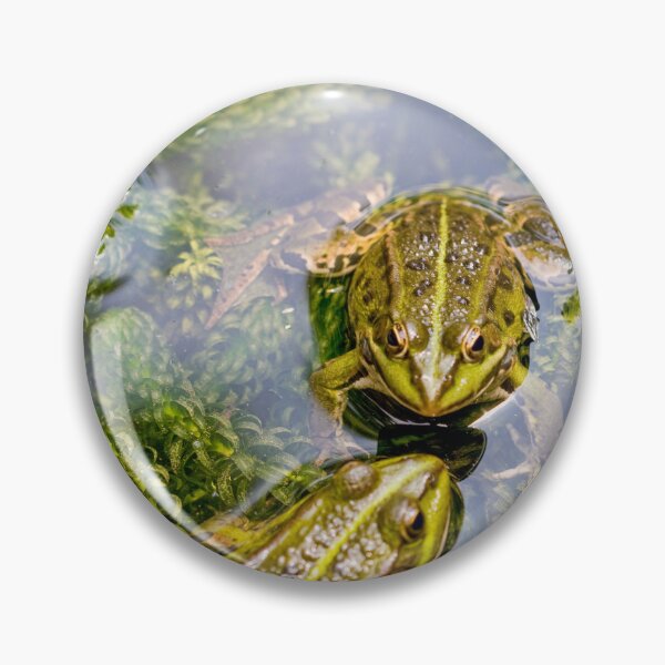 Item preview, Two loving frogs designed and sold by Photopat.