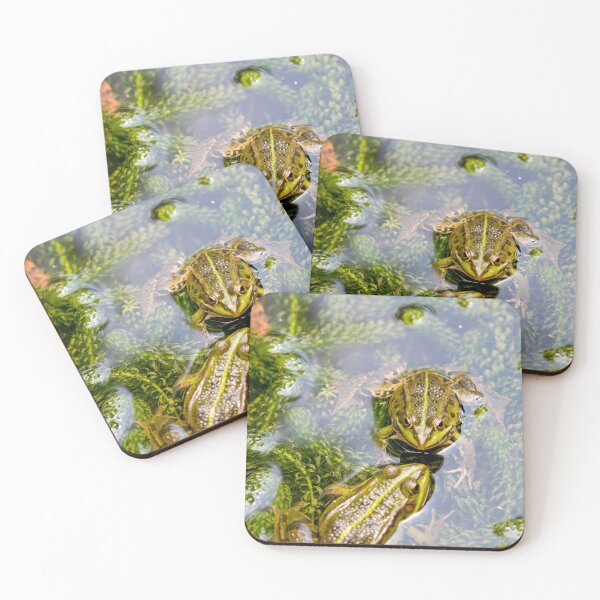 Item preview, Two loving frogs designed and sold by Photopat.
