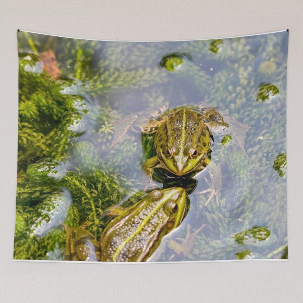 Item preview, Two loving frogs designed and sold by Photopat.