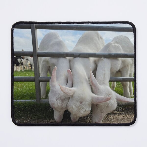 Item preview, Lambs designed and sold by Let-me-show-you-something.