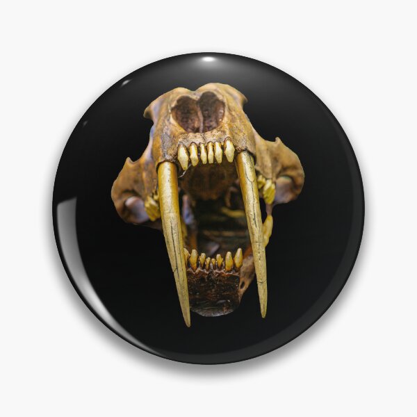 Item preview, Saber tooth Tiger skull designed and sold by Dalyndigital Photography.
