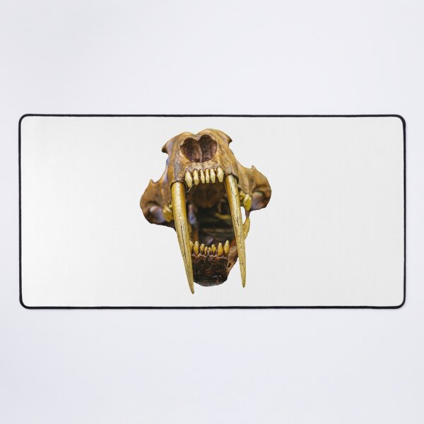 Item preview, Saber tooth Tiger skull designed and sold by Dalyndigital Photography.