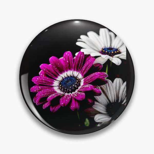 Item preview, Pericallis Dreams — Where Nature Blooms Like Living Art #16 designed and sold by Helios Be. Lavsh.