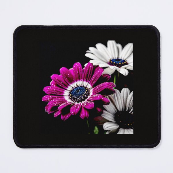 Item preview, Pericallis Dreams — Where Nature Blooms Like Living Art #16 designed and sold by Helios Be. Lavsh.