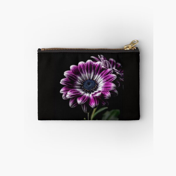 Item preview, Pericallis Dreams — Where Nature Blooms Like Living Art #17 designed and sold by Helios Be. Lavsh.