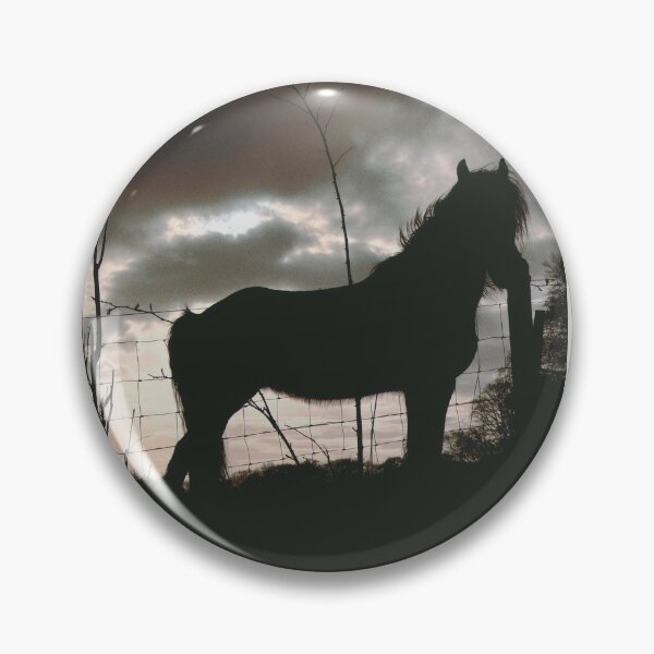 Item preview, majestic horse photo taken near Lanark, Scotland (april 2026) designed and sold by photosbykel.