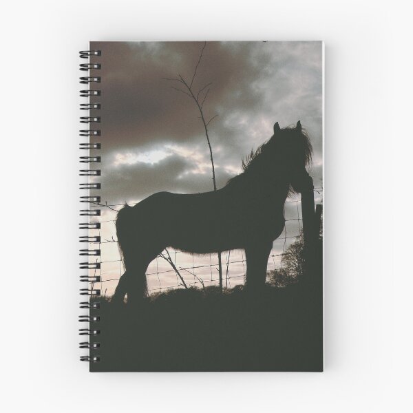 Item preview, majestic horse photo taken near Lanark, Scotland (april 2026) designed and sold by photosbykel.