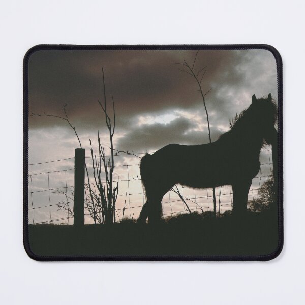 Item preview, majestic horse photo taken near Lanark, Scotland (april 2026) designed and sold by photosbykel.