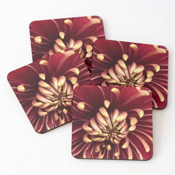 Item preview, Fang Petals designed and sold by Betsy Phillips.