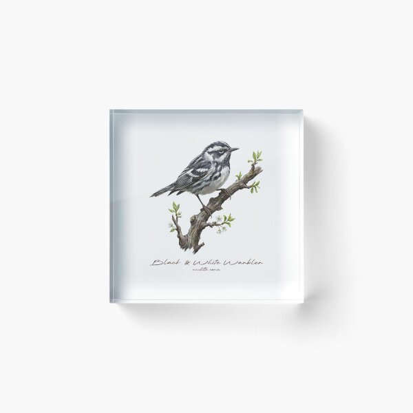 Item preview, Black and White Warbler on Leafy Branch designed and sold by Takeda-art.