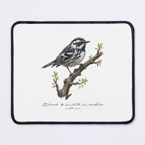 Item preview, Black and White Warbler on Leafy Branch designed and sold by Takeda-art.