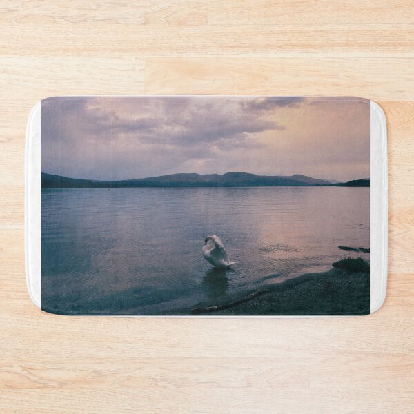 Item preview, magnificent swan photograph taken during golden hour at loch lomond, scotland (april 2026) designed and sold by photosbykel.