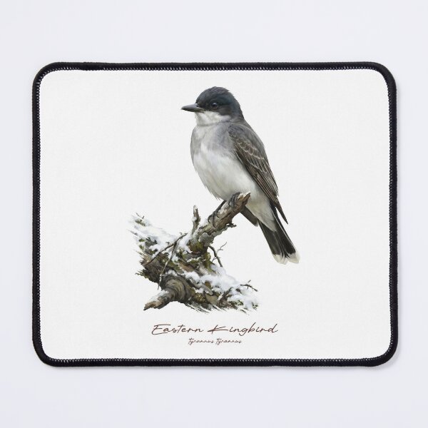 Item preview, Eastern Kingbird on Snowy Branch designed and sold by Takeda-art.