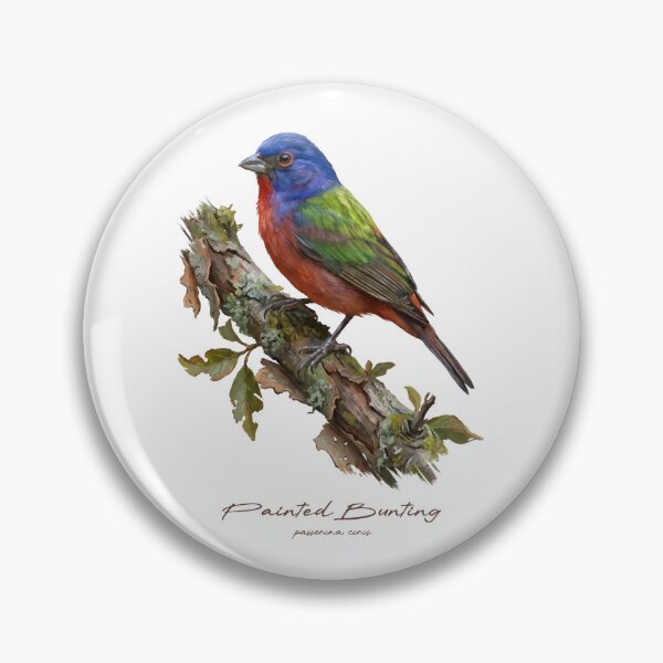 Item preview, Painted Bunting on Rustic Branch designed and sold by Takeda-art.