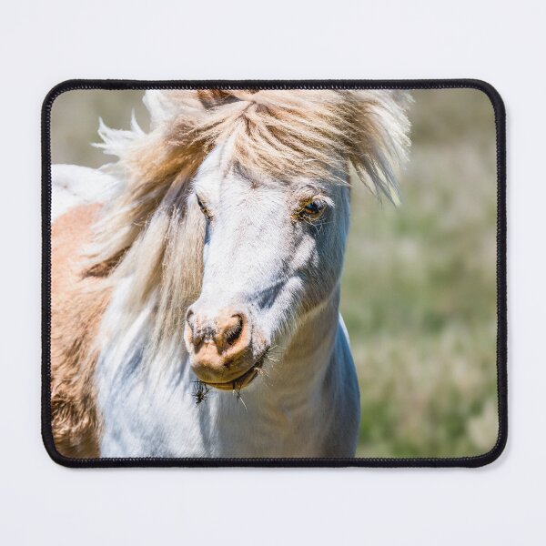 Item preview, Shaggy Pony of the Plains designed and sold by Debra Martz.