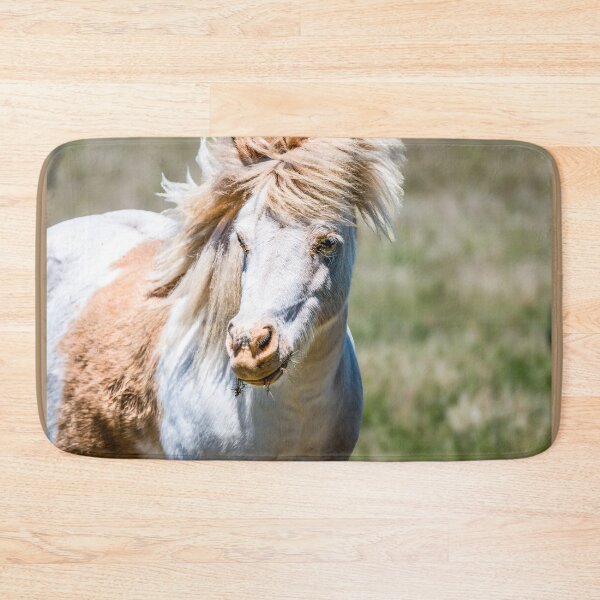 Item preview, Shaggy Pony of the Plains designed and sold by Debra Martz.