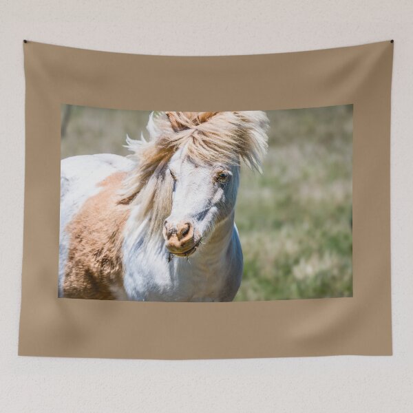 Item preview, Shaggy Pony of the Plains designed and sold by Debra Martz.