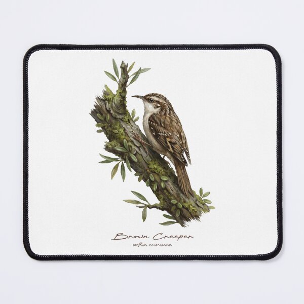 Item preview, Brown Creeper on Mossy Branch designed and sold by Takeda-art.