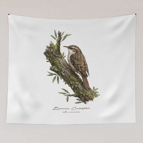 Item preview, Brown Creeper on Mossy Branch designed and sold by Takeda-art.