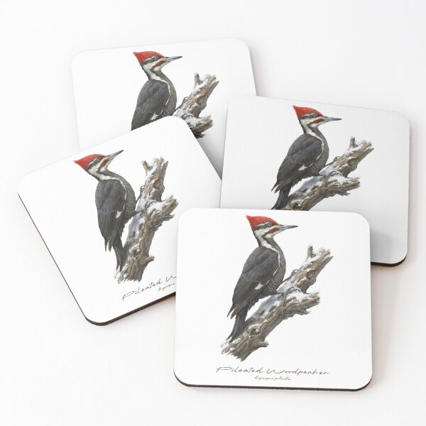 Item preview, Pileated Woodpecker on Snowy Branch designed and sold by Takeda-art.