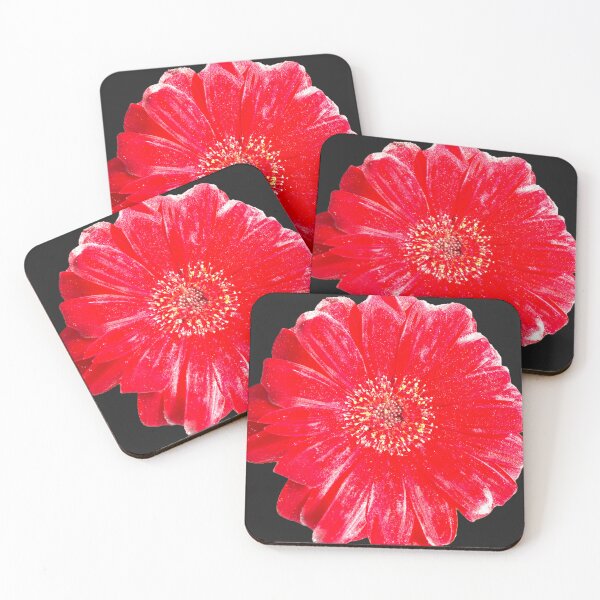 Item preview, Vibrant Red Gerbera Daisy Isolated on Solid Black designed and sold by BalkanBloom.