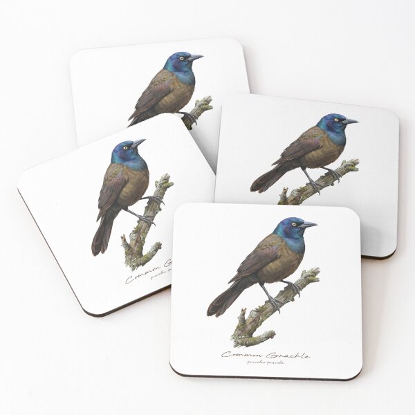 Item preview, Common Grackle on Mossy Branch designed and sold by Takeda-art.