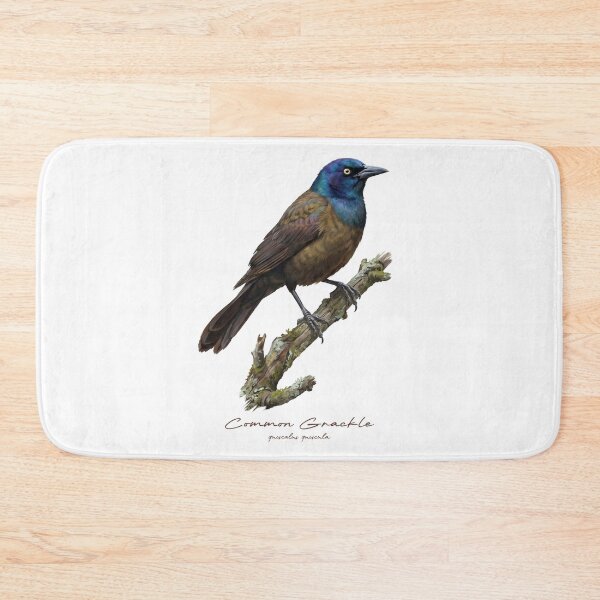 Item preview, Common Grackle on Mossy Branch designed and sold by Takeda-art.