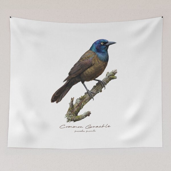 Item preview, Common Grackle on Mossy Branch designed and sold by Takeda-art.
