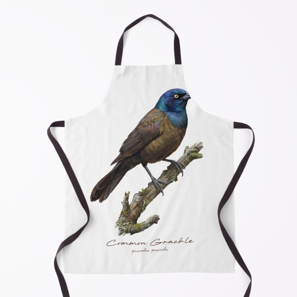 Item preview, Common Grackle on Mossy Branch designed and sold by Takeda-art.