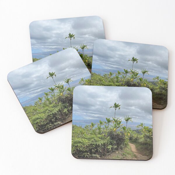 Item preview, Hawaii 35 designed and sold by brookehthomson.