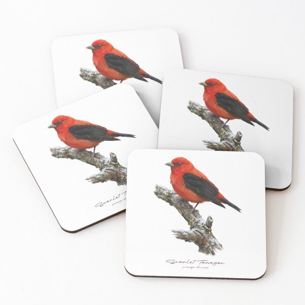 Item preview, Tangara escarlata en rama nevada designed and sold by Takeda-art.