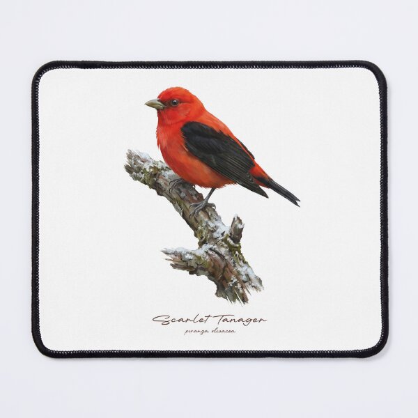 Item preview, Scarlet Tanager on Snowy Branch designed and sold by Takeda-art.