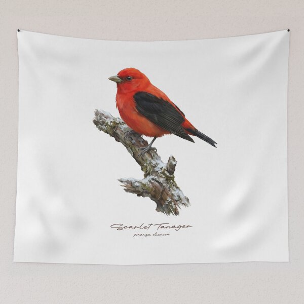 Item preview, Scarlet Tanager on Snowy Branch designed and sold by Takeda-art.