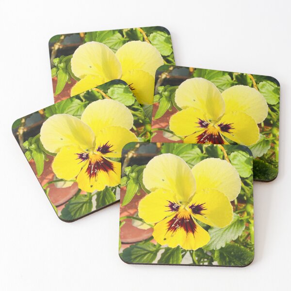Item preview, Sunny Yellow Pansy Bloom Isolated on White designed and sold by BalkanBloom.